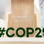 Cop summits ‘no longer fit for purpose’, say leading climate policy experts